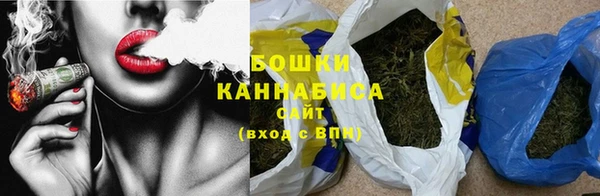 хмурый Белокуриха