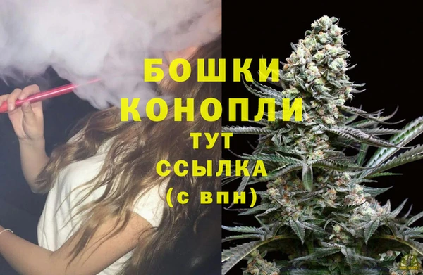 хмурый Белокуриха