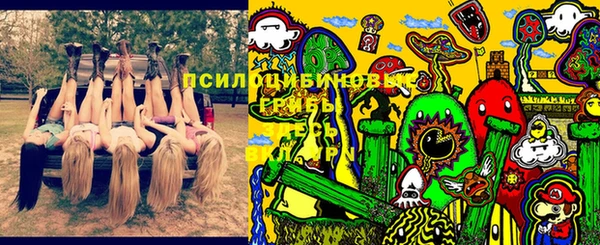 хмурый Белокуриха