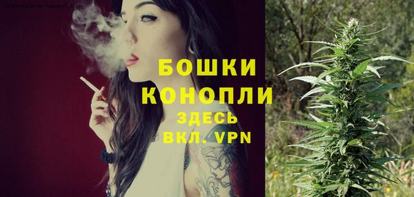 хмурый Белокуриха
